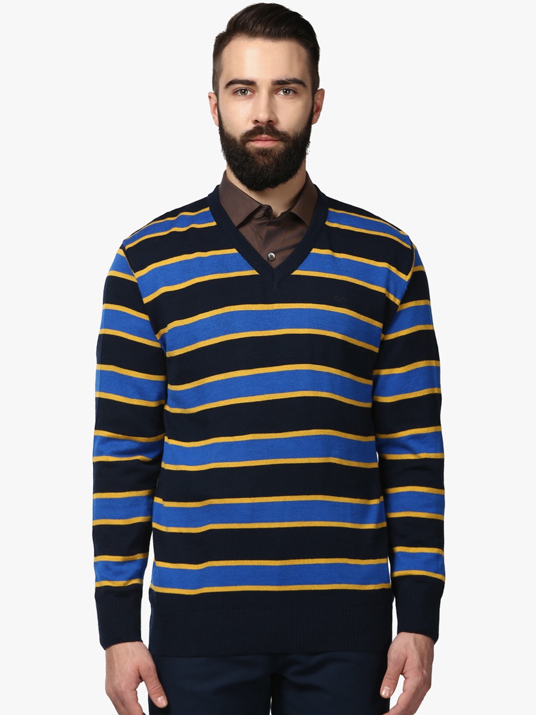 

ColorPlus Men Blue & Black Striped Pullover