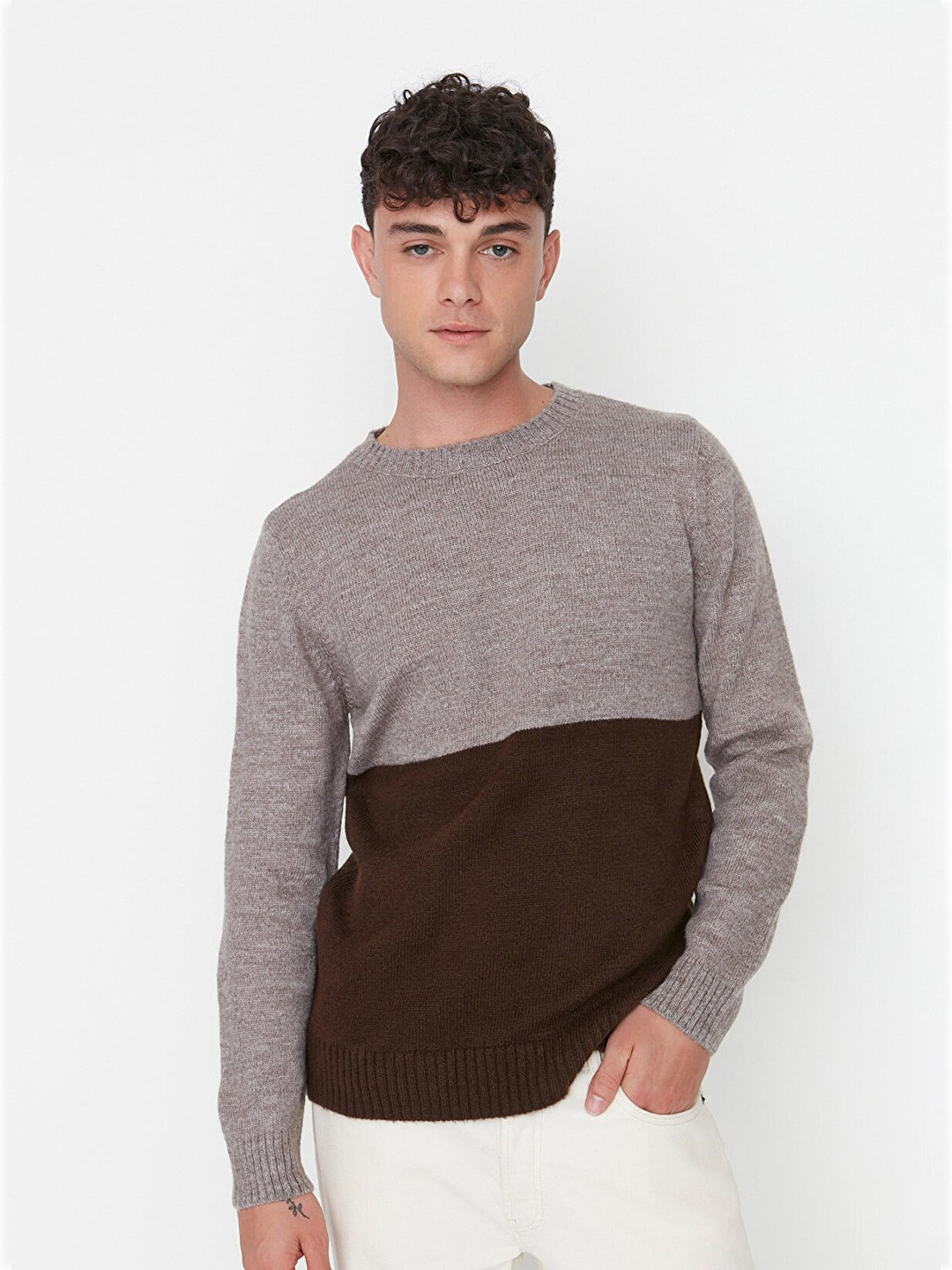 

Trendyol Men Brown Colourblocked Pullover