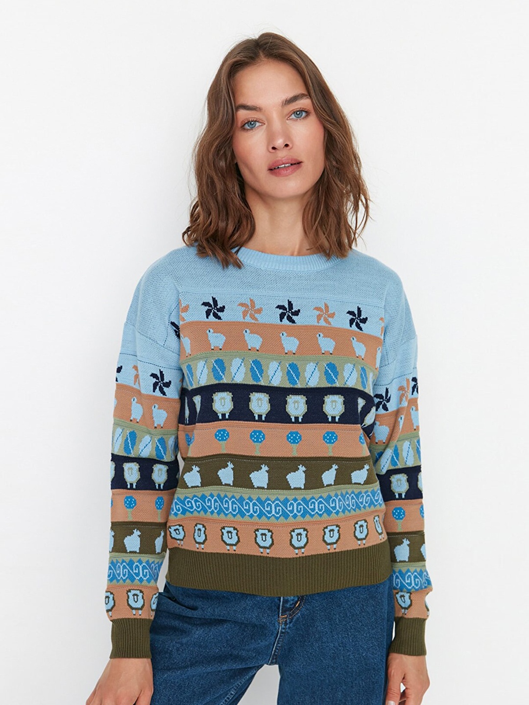 

Trendyol Women Blue & Brown Quirky Acrylic Pullover