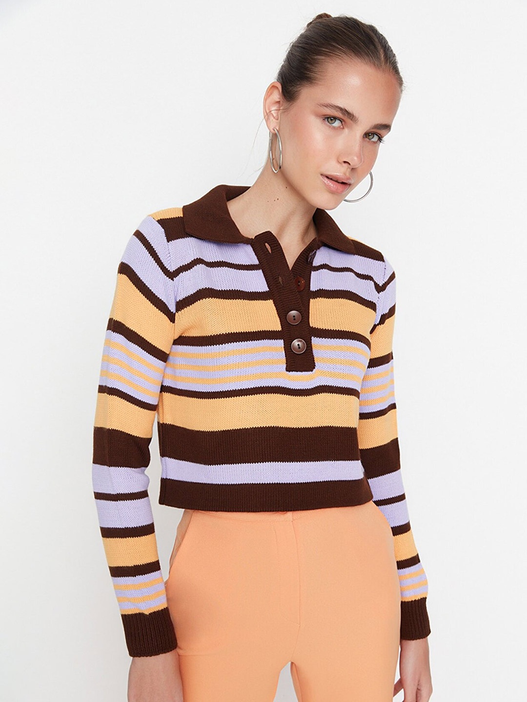 

Trendyol Women Brown & Blue Striped Pullover