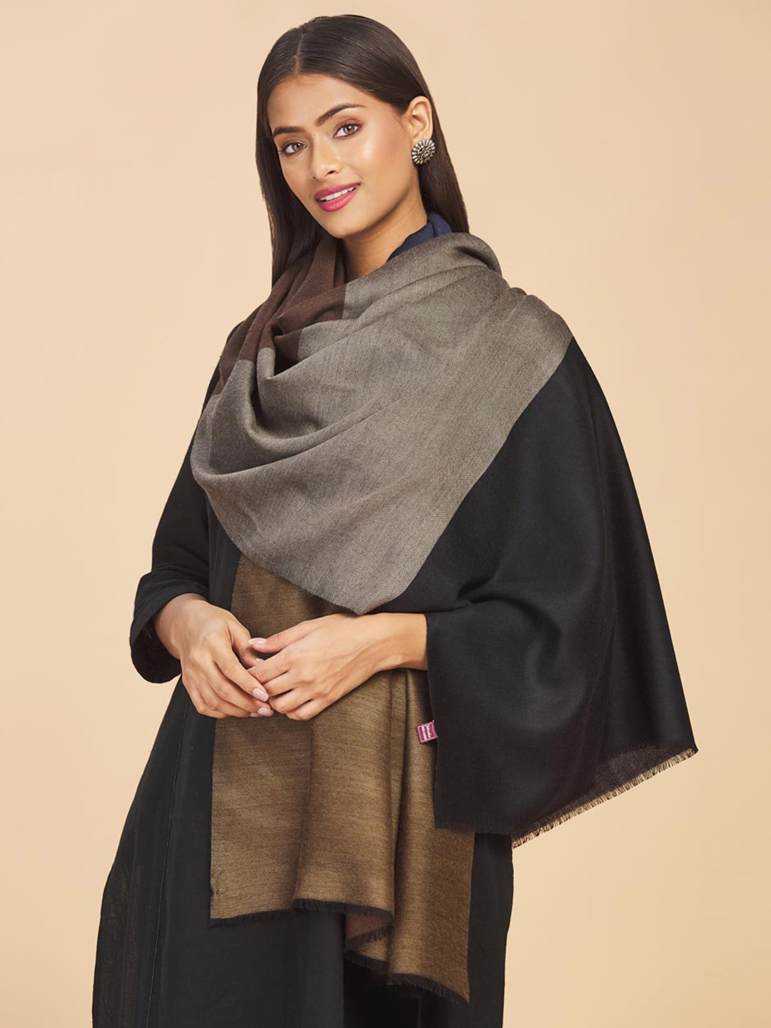 

Fabindia Women Grey & Brown Colourblocked Stole