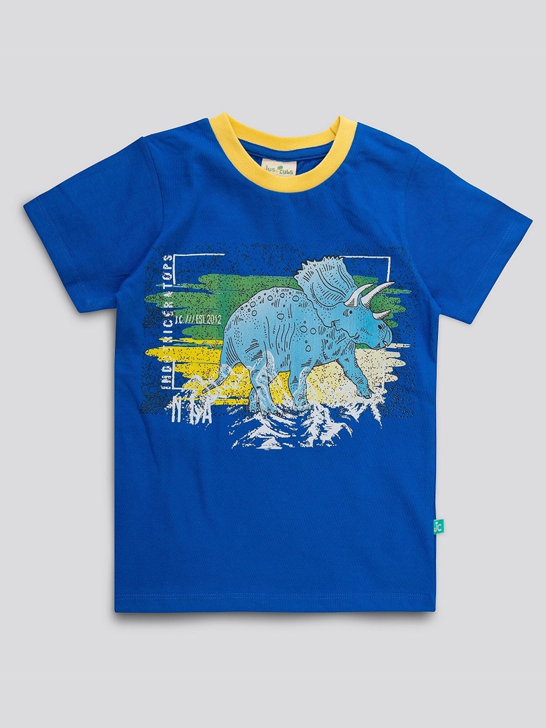 

JusCubs Boys Blue Printed T-shirt