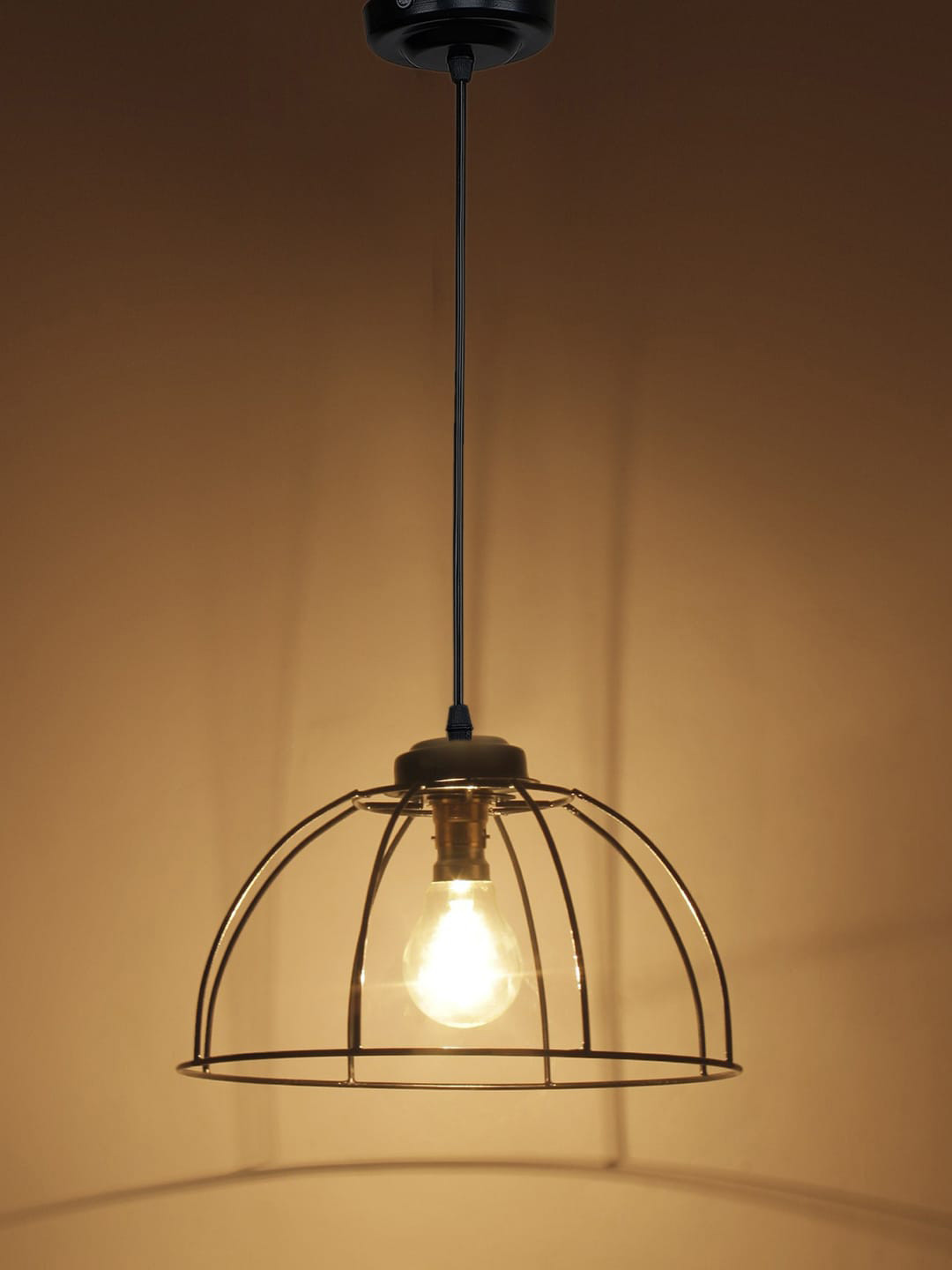 

Devansh Black Semi-Sphere Iron Hanging Lamp