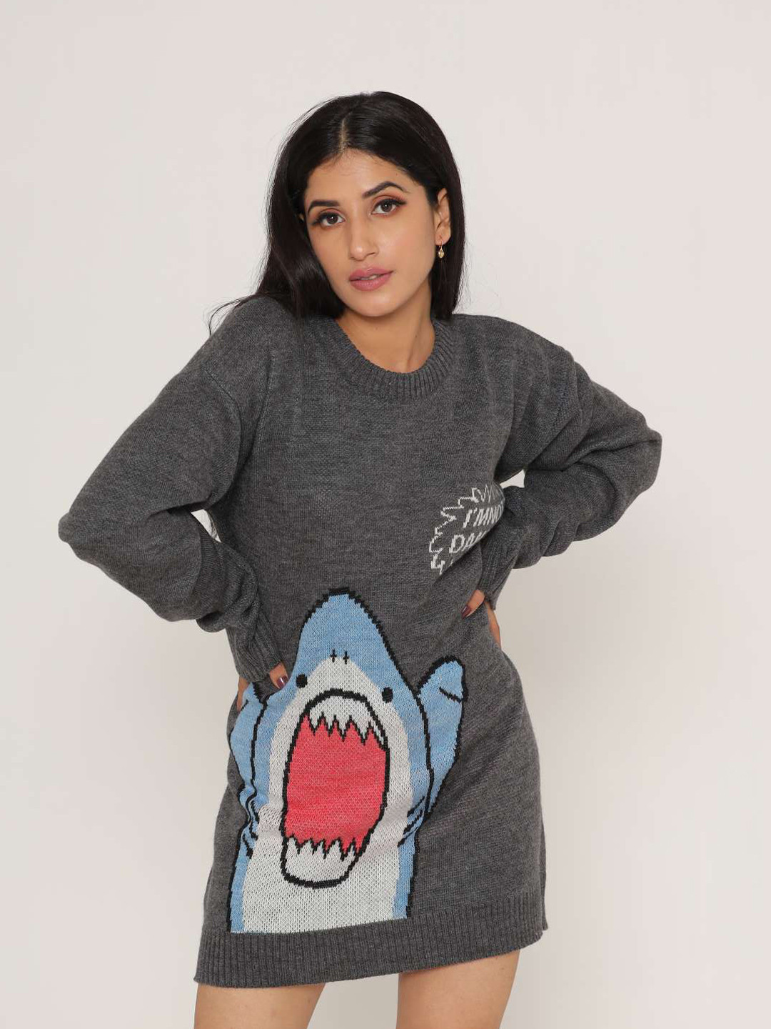 

KASMA Women Grey Jumper Dress