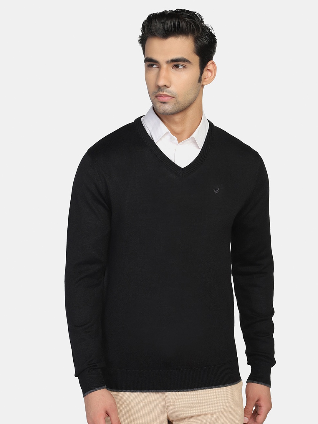 

Blackberrys Men Black Pullover