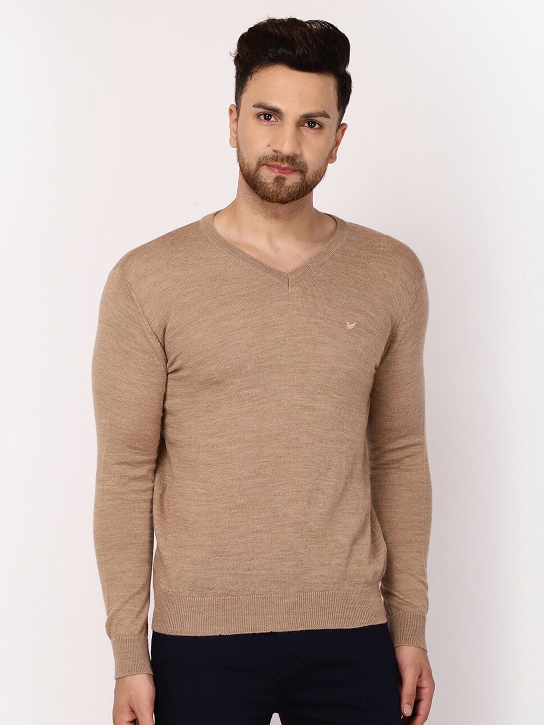 

Blackberrys Men Beige Pullover