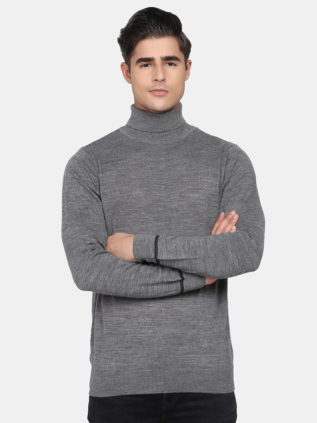 

Blackberrys Men Grey & Grey Pullover