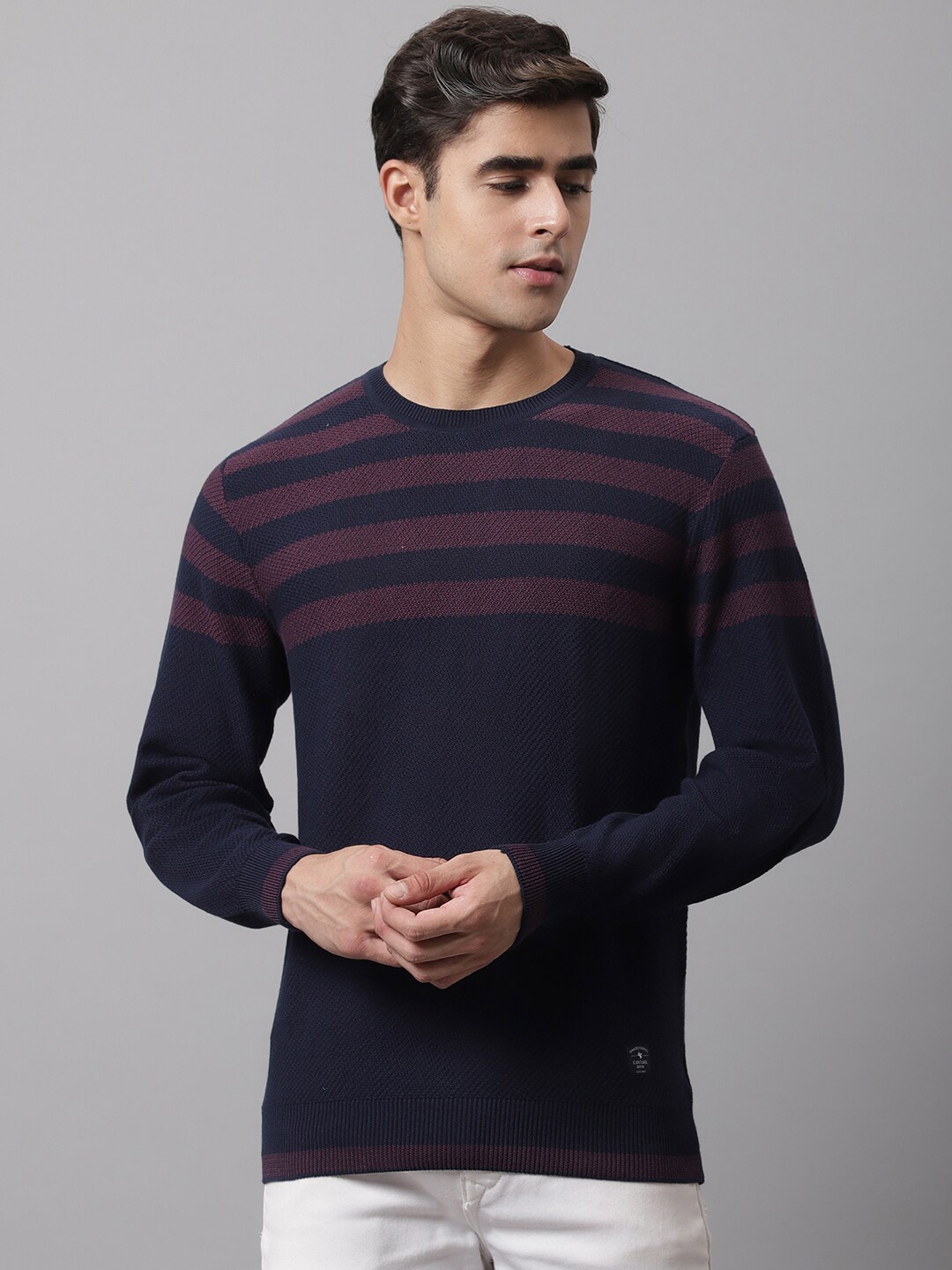 

Cantabil Men Navy Blue & Purple Striped Striped Pullover