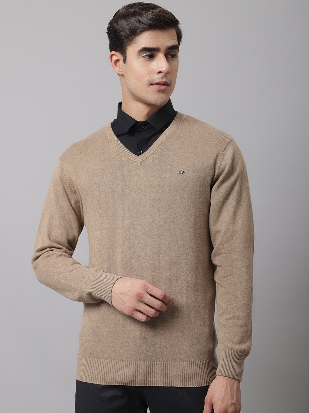 

Cantabil Men Beige Solid V-Neck Pullover
