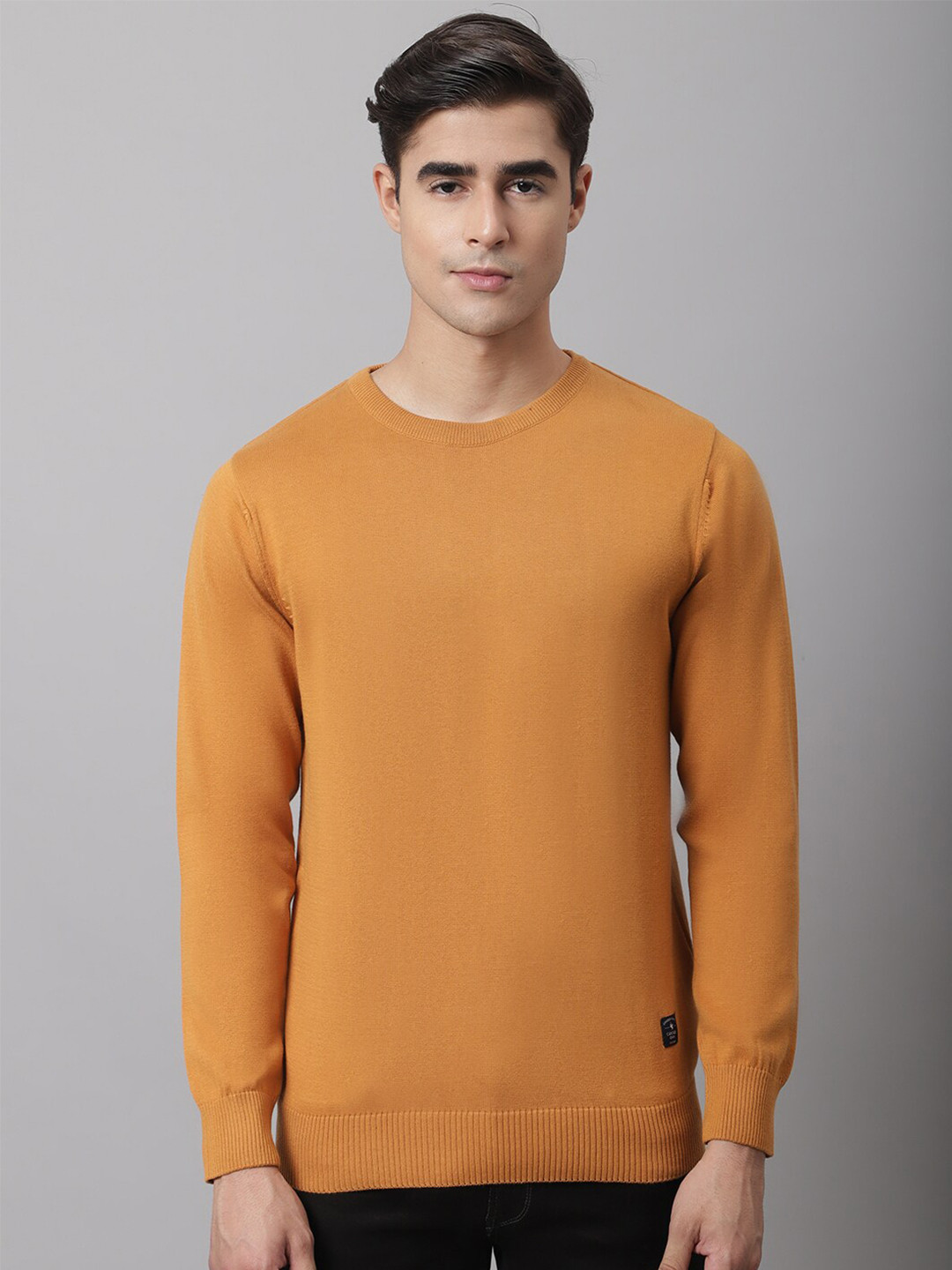 

Cantabil Men Mustard Yellow Solid Round Neck Pullover
