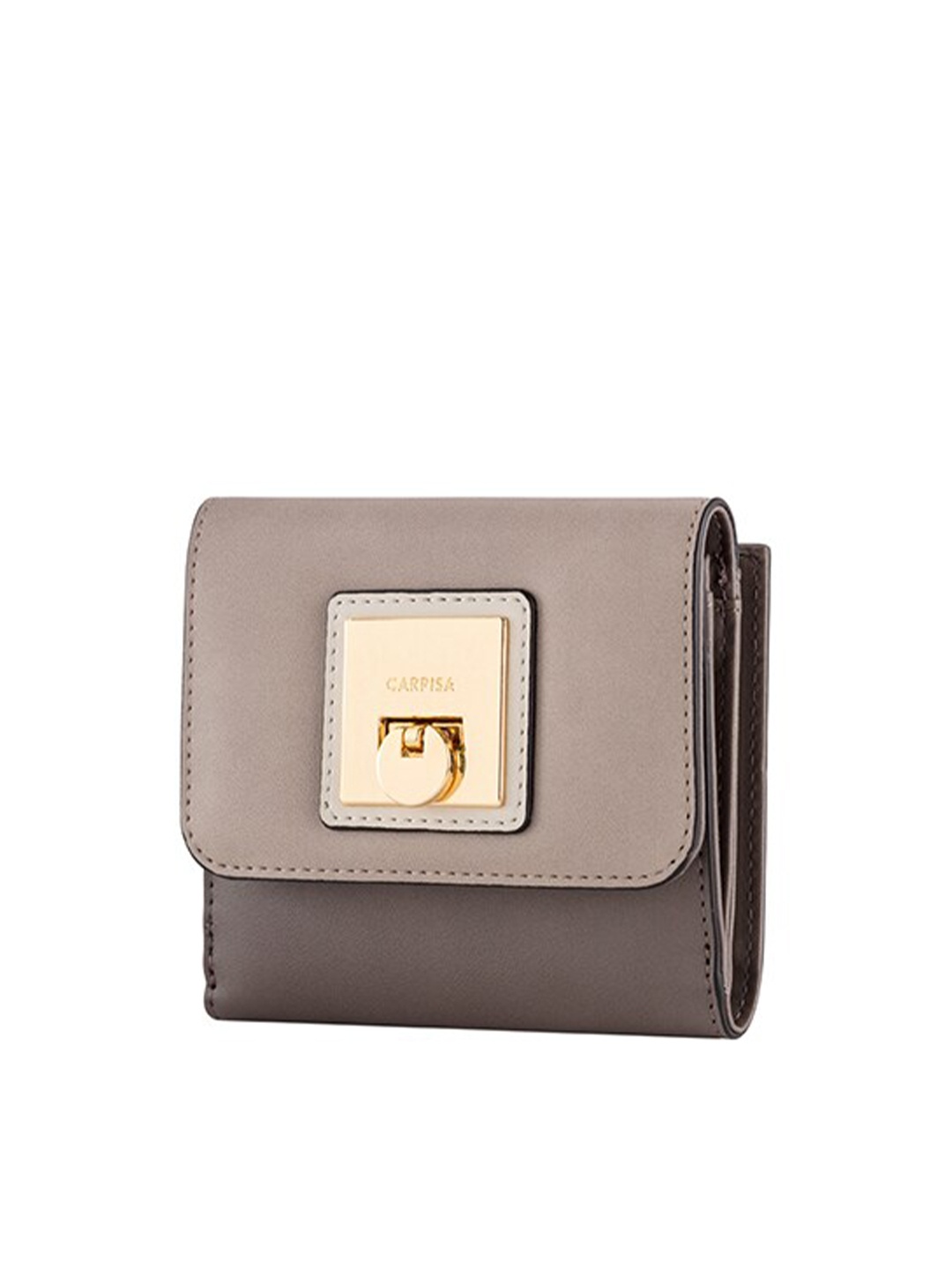 

CARPISA Women Taupe Solid Two Fold Wallet