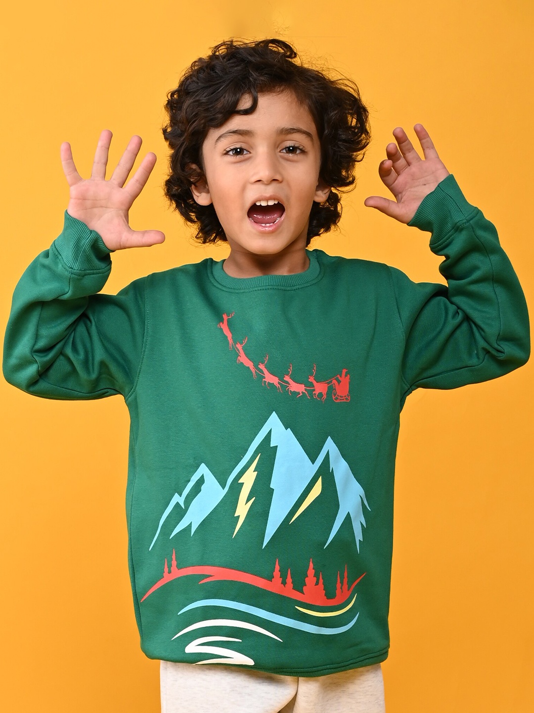 

Anthrilo Boys Green Printed Sweatshirt