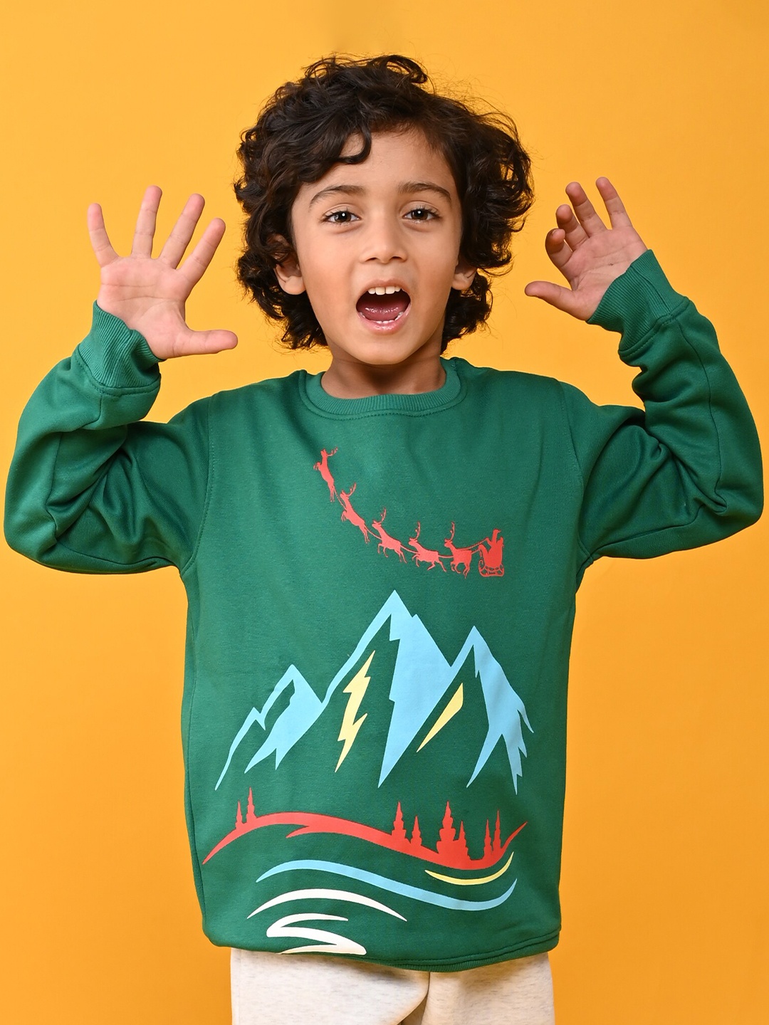 

Anthrilo Boys Green Printed Fleece Sweatshirt