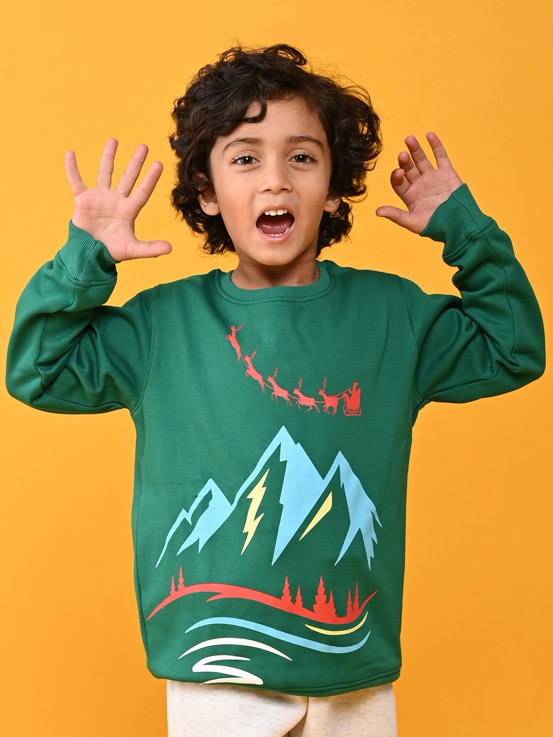 

Anthrilo Boys Green Printed Sweatshirt