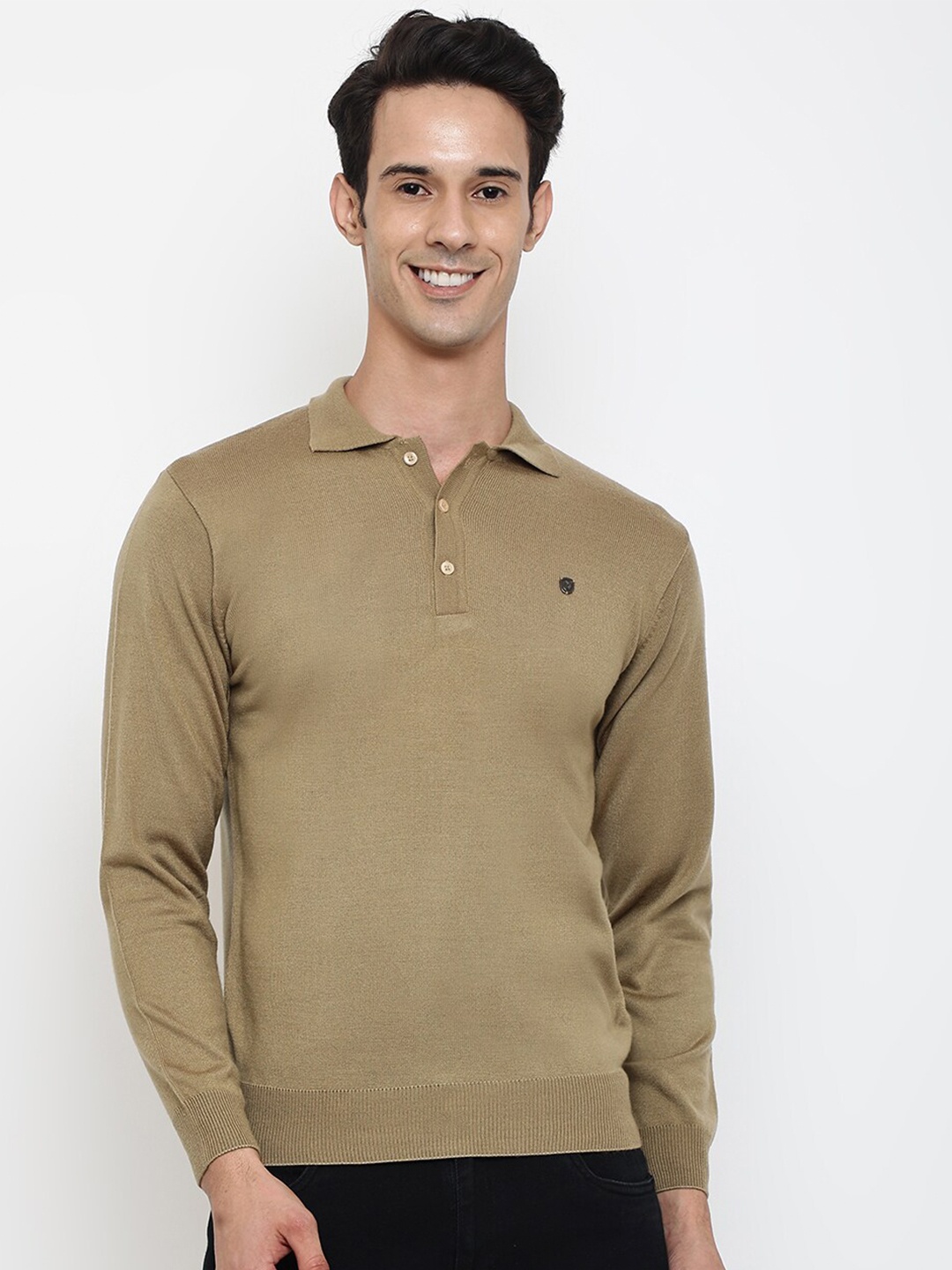 

Cantabil Men Khaki Solid Wool Polo Collar Pullover