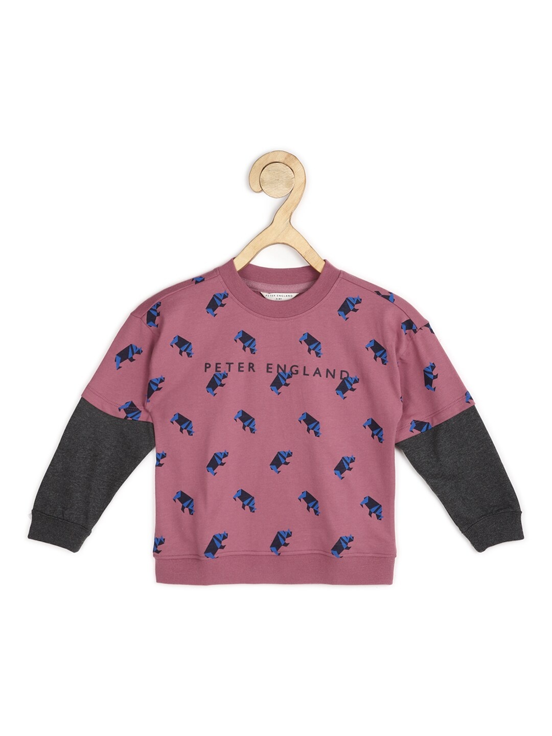 

Peter England Boys Purple Printed Pure Cotton Sweatshirt