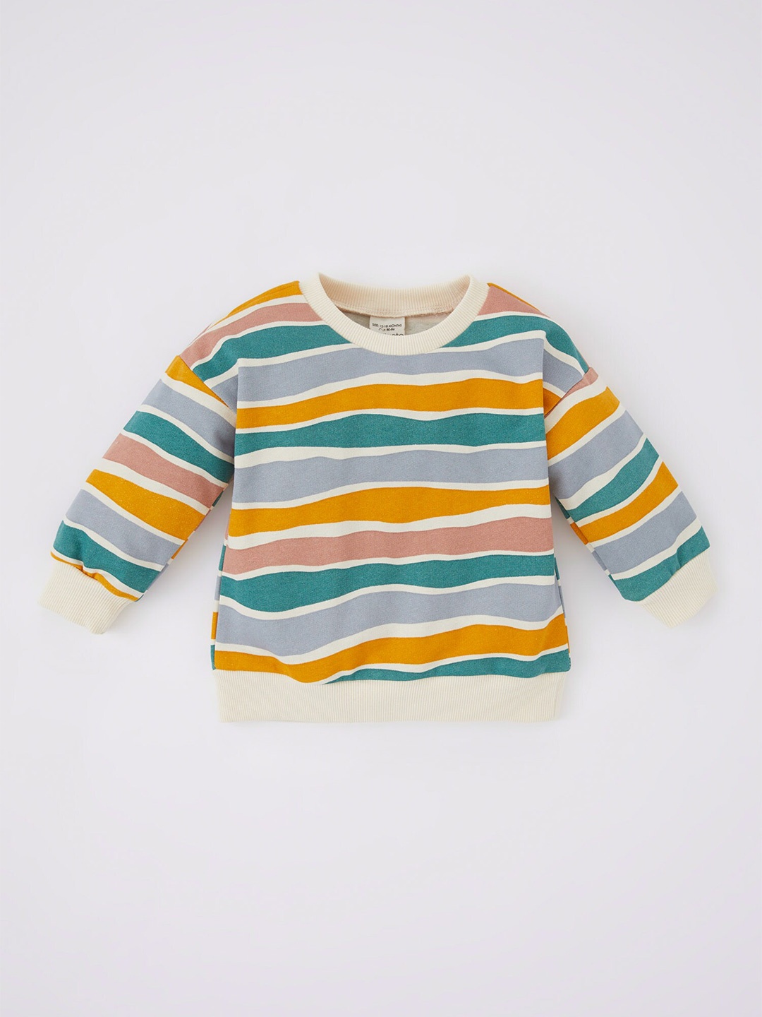 

DeFacto Boys Beige Striped Cotton Sweatshirt