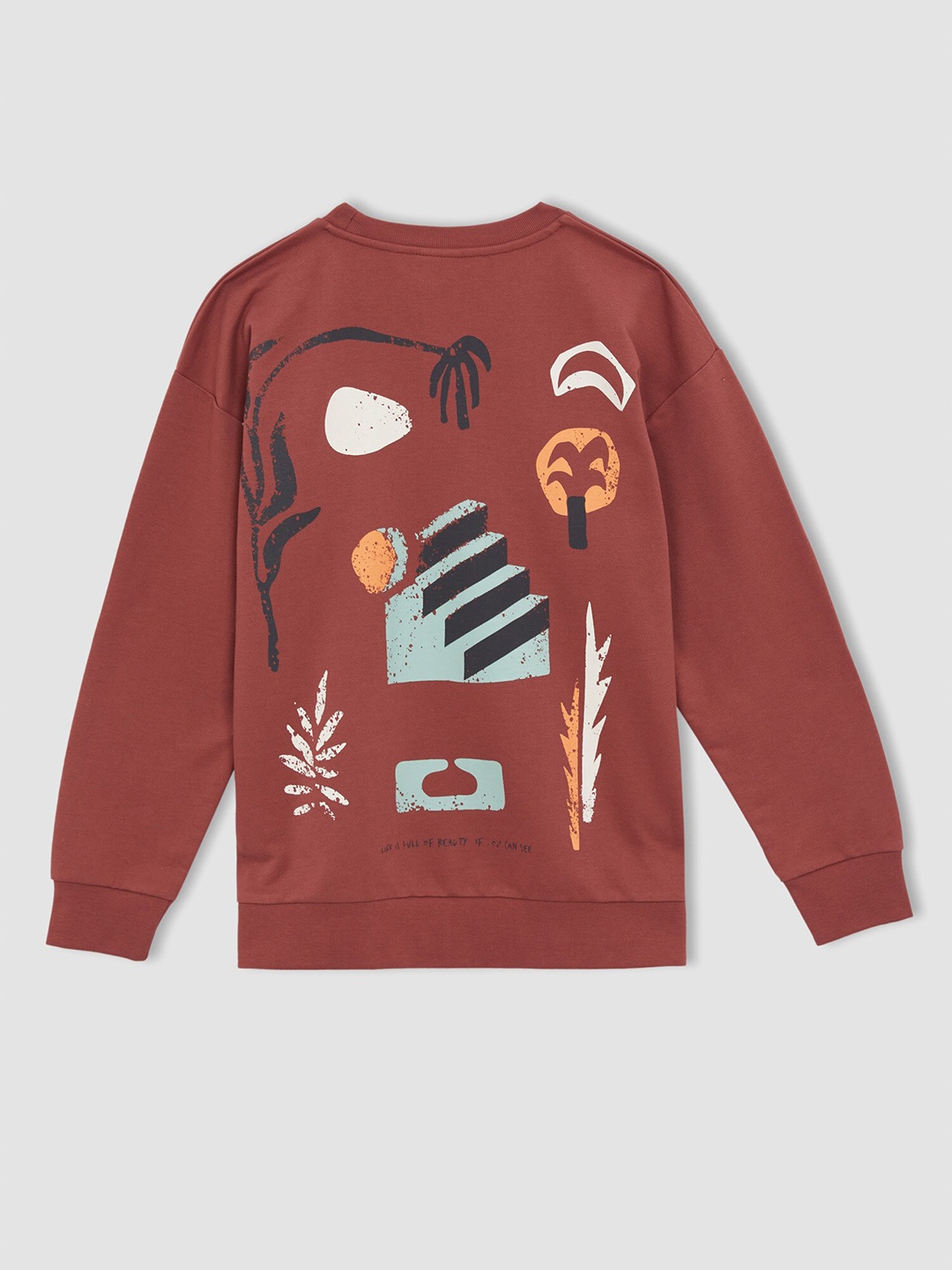 

DeFacto Boys Rose Cotton Printed Sweatshirt