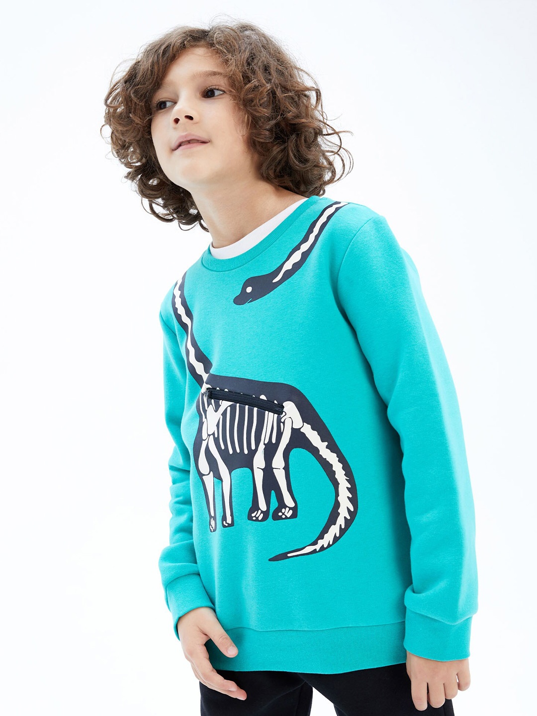 

DeFacto Boys Turquoise Blue Printed Sweatshirt