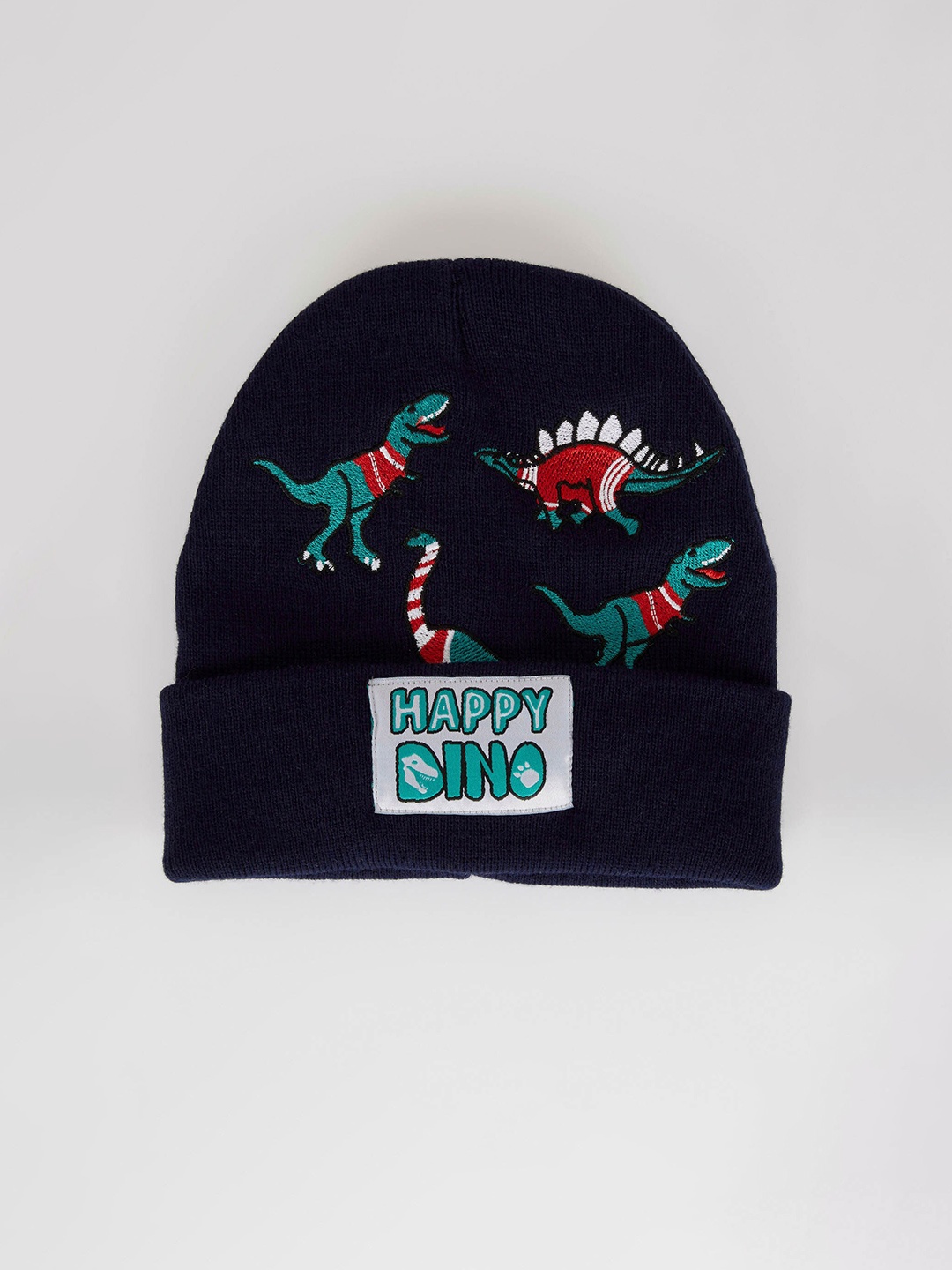 

DeFacto Boys Navy Blue & Pink Printed Acrylic Beanie