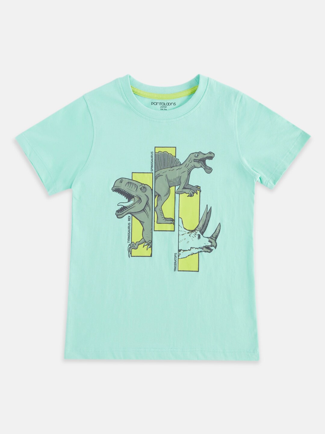 

Pantaloons Junior Boys Green Printed Cotton T-shirt