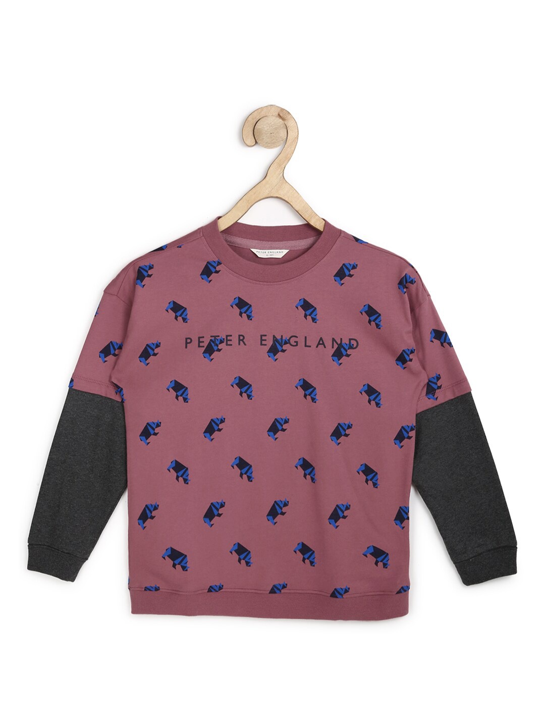 

Peter England Boys Purple Printed Sweatshirt