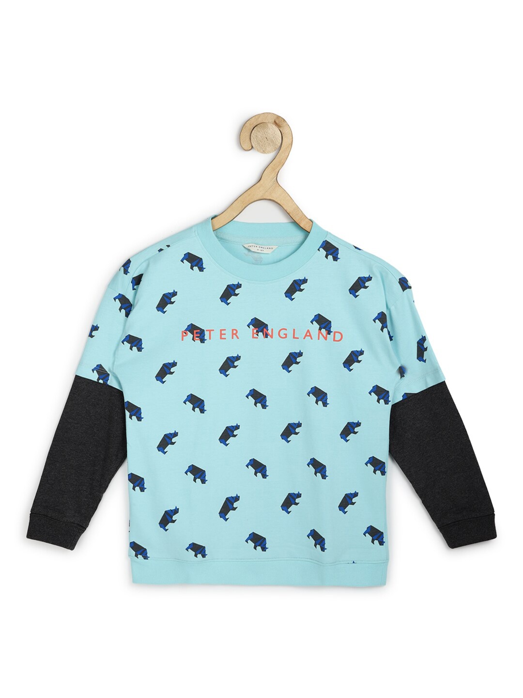 

Peter England Boys Turquoise Blue Printed Pure Cotton Sweatshirt