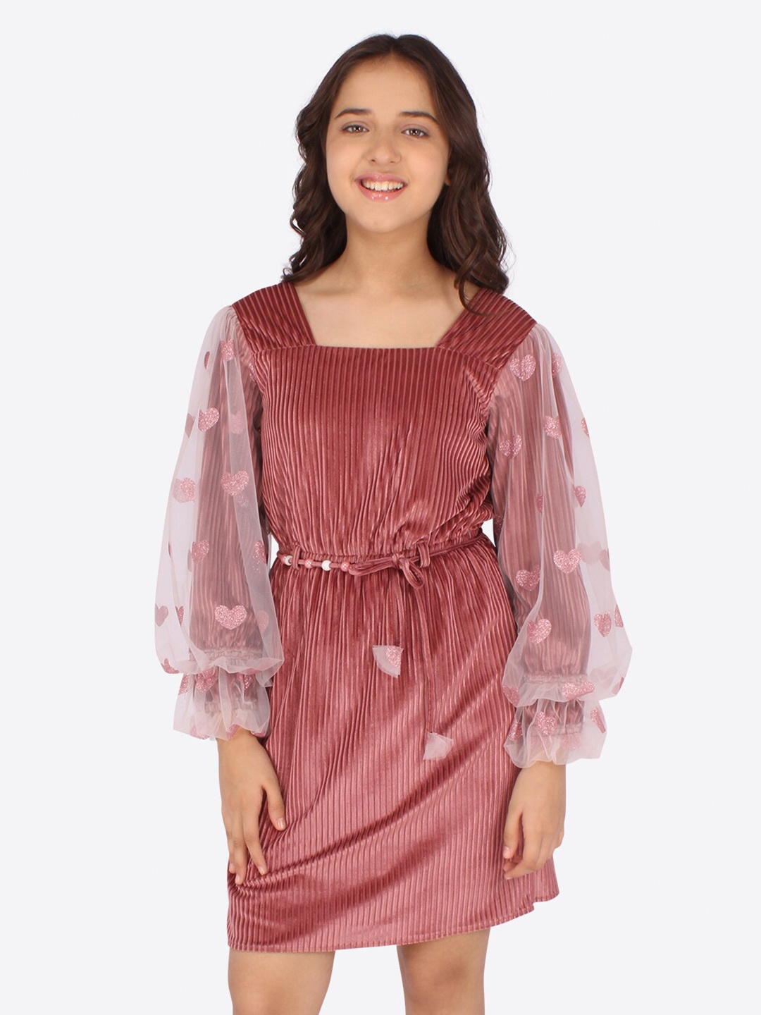 

CUTECUMBER Girls Brown Velvet Dress