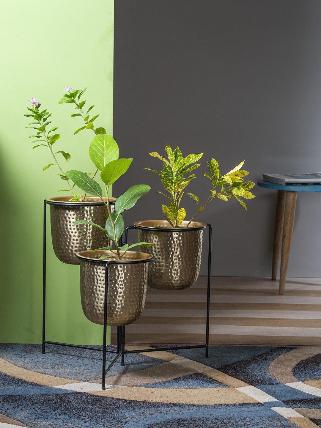 

vedas U-Krisha Three in One Gold & Black Planter