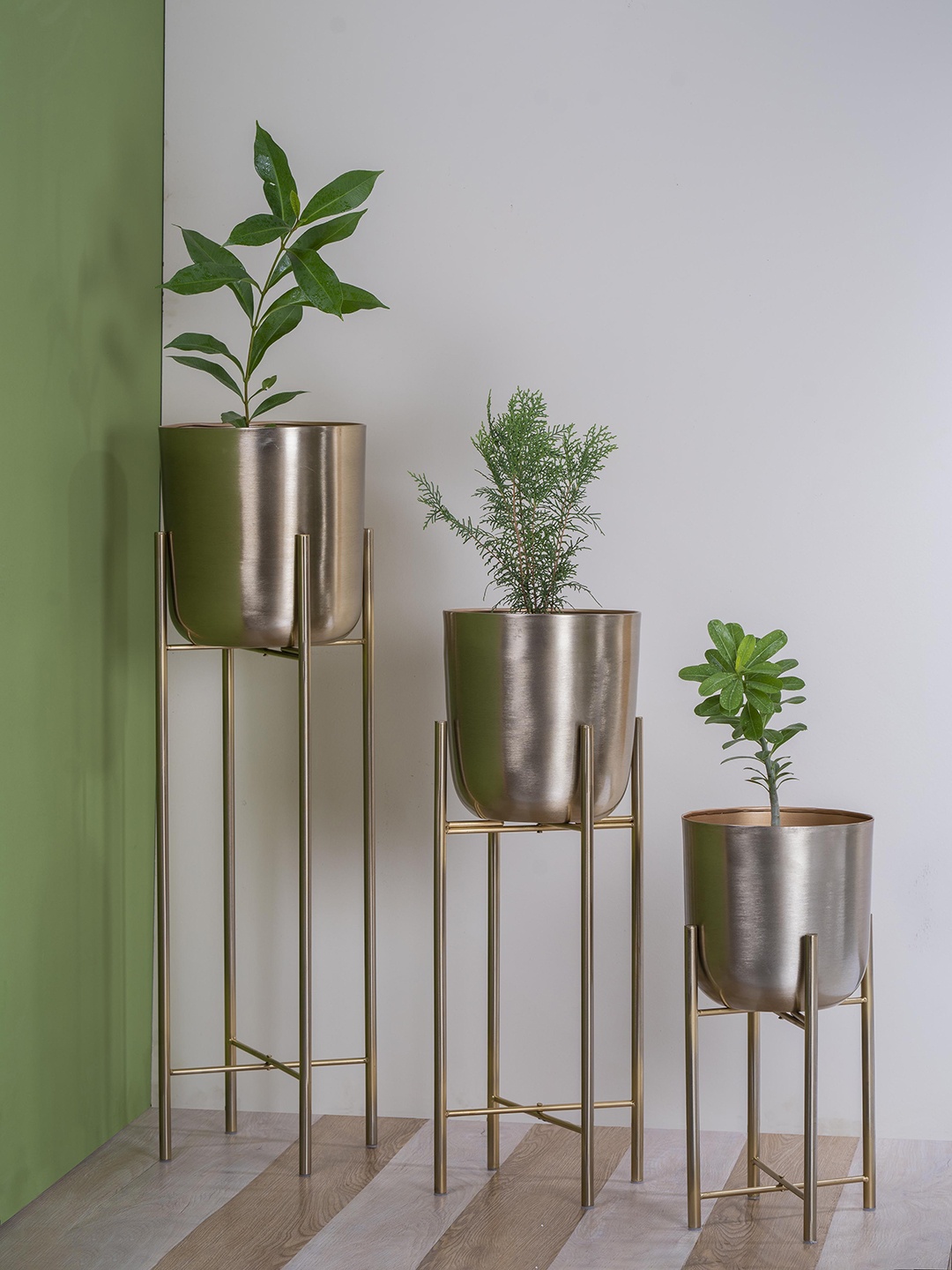 

vedas U-Amrita Gold-Toned Set Of 3 Planters