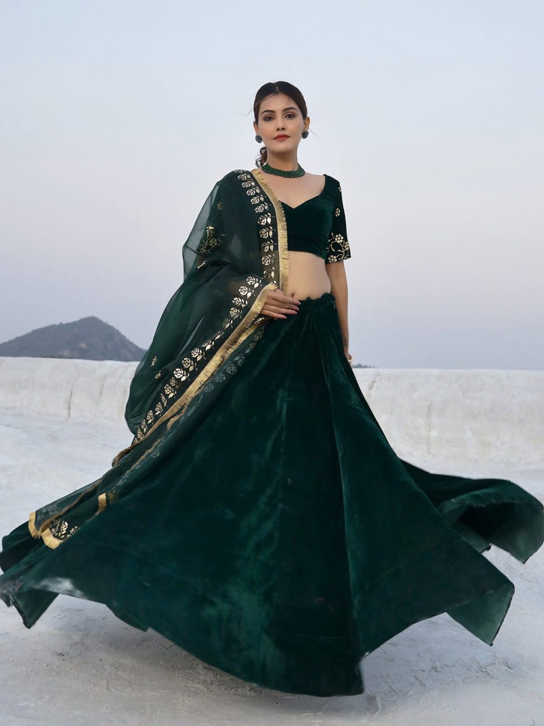 

Baisacrafts Green & Gold-Toned Embroidered Foil Print Lehenga Choli With Dupatta