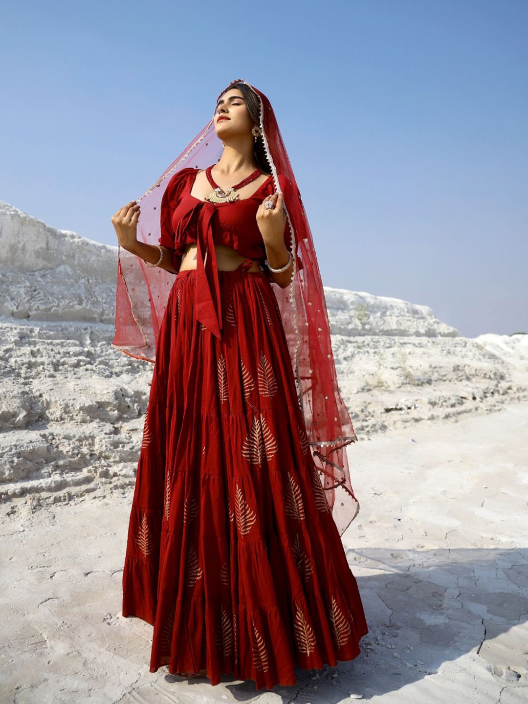 

Baisacrafts Red & Gold-Toned Lehenga & Blouse With Dupatta