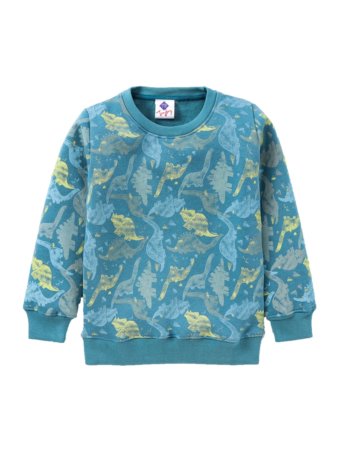 

TONYBOY Boys Teal Blue Printed Cotton Sweatshirt