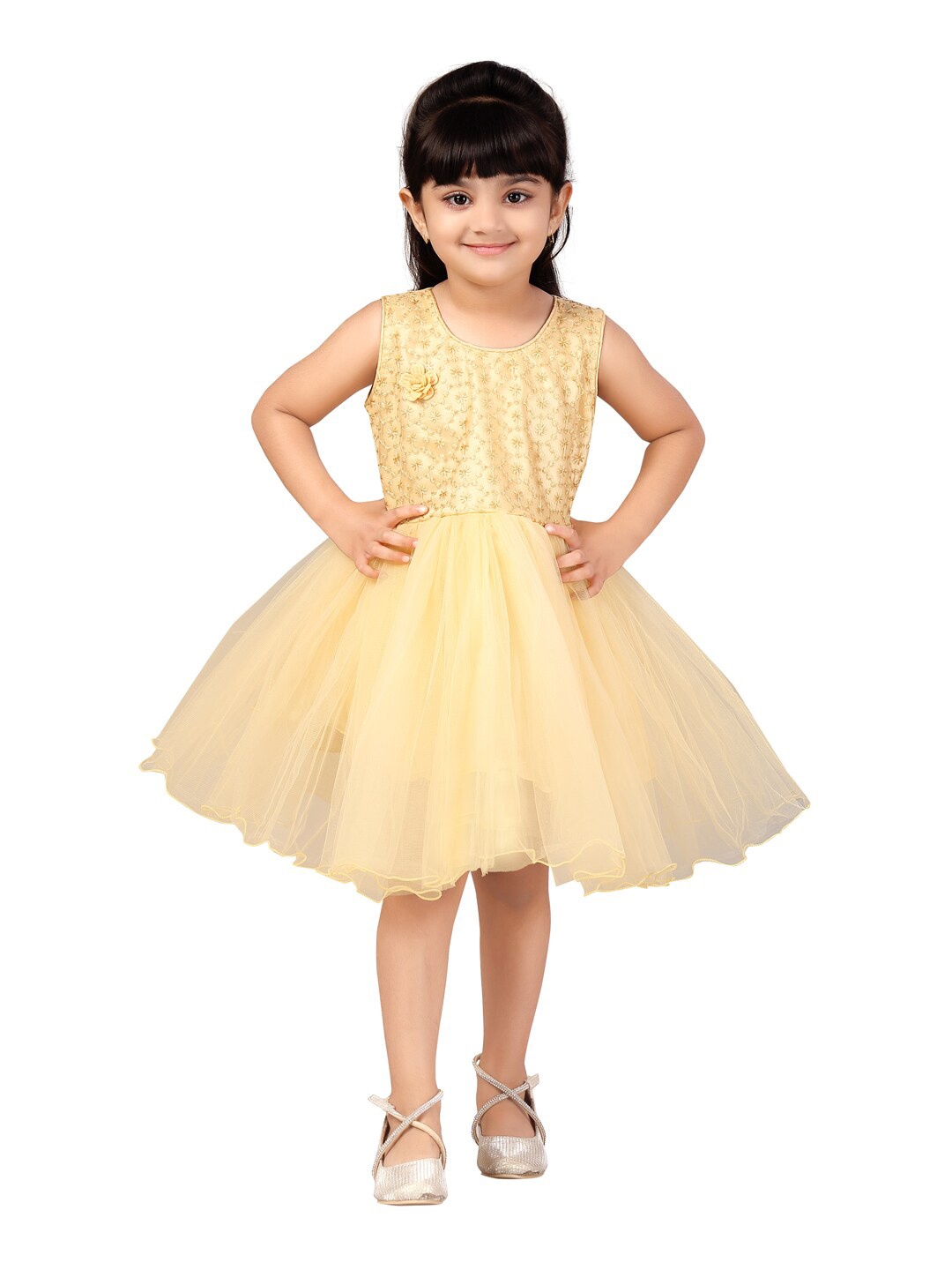 

Aarika Beige Floral Embroidered Net Fit & Flare Dress