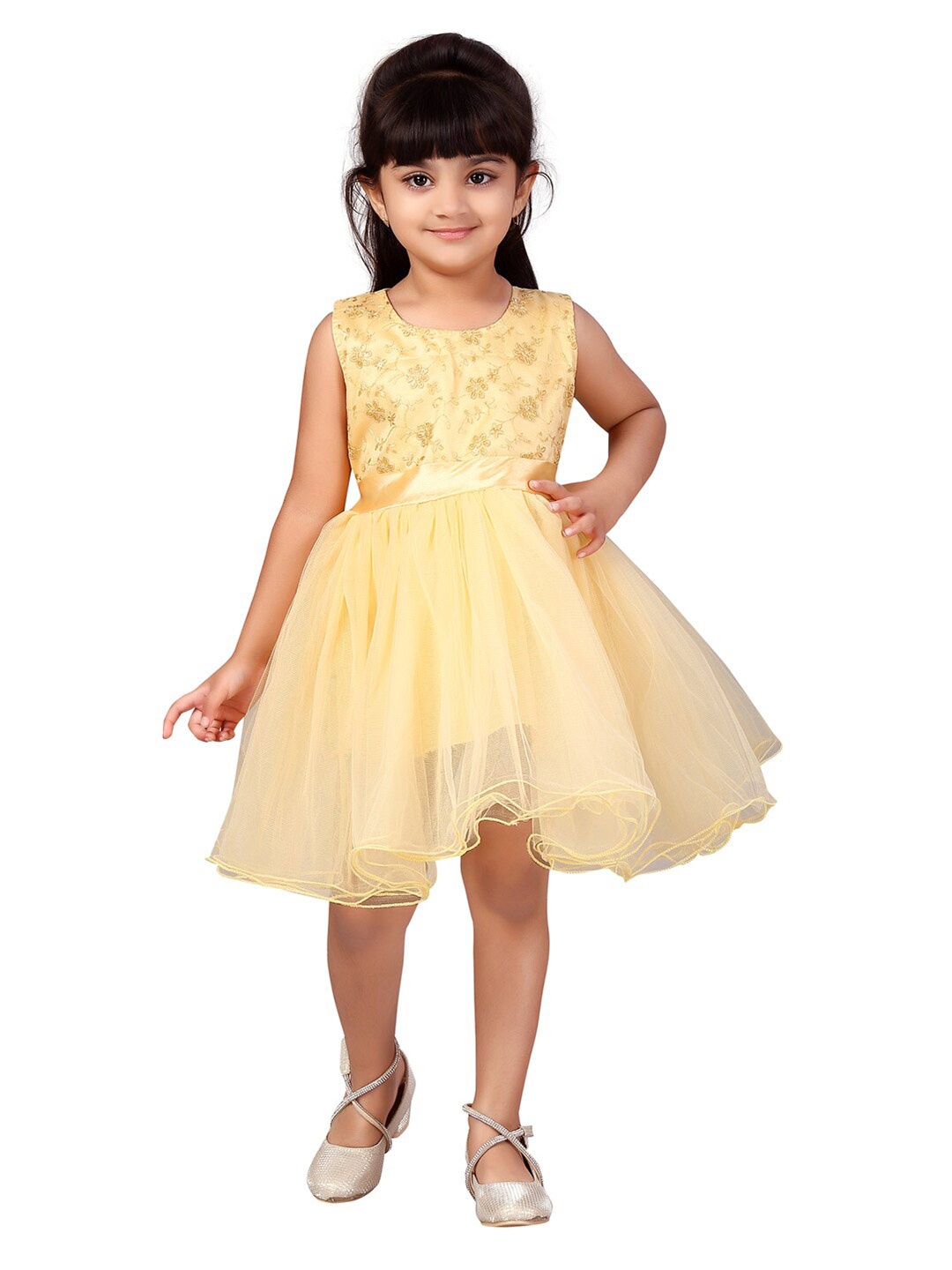 

Aarika Girls Yellow Floral Embroidered Net Fit & Flare Dress