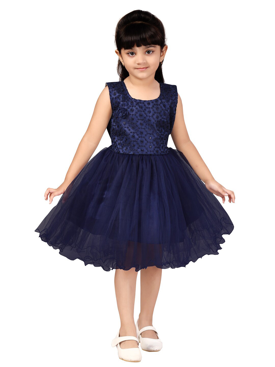 

Aarika Blue Ethnic Motifs Embroidered Net Dress