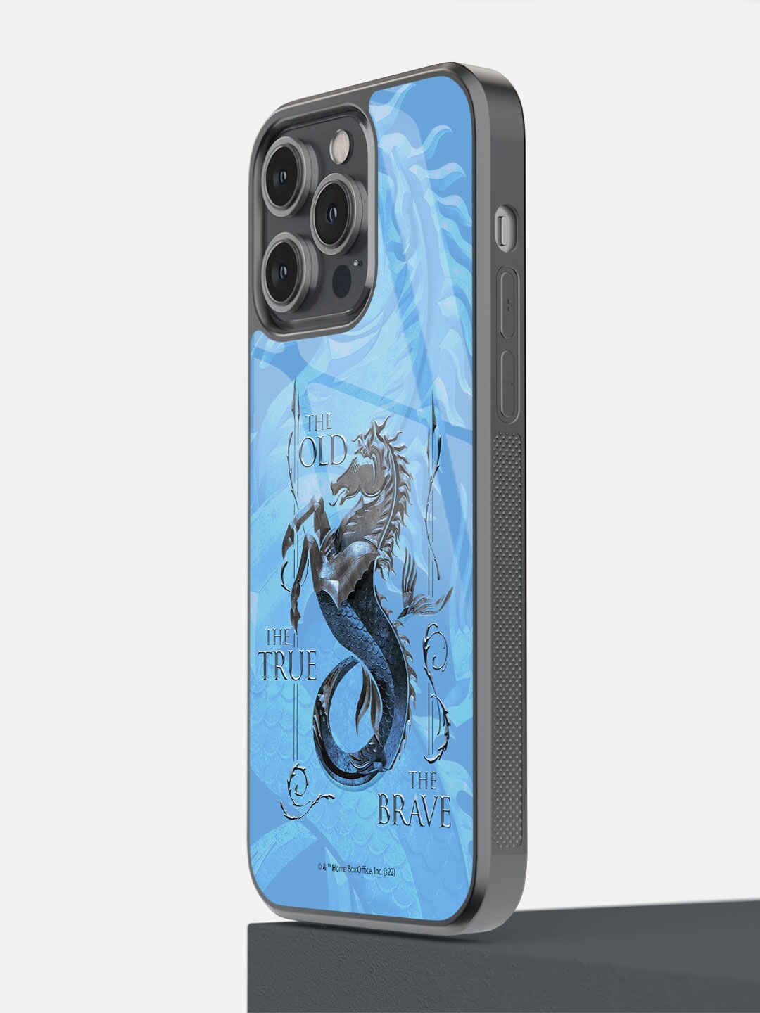 

macmerise Blue & Black House Velaryon Sigil iPhone 14 Pro Max Back Case