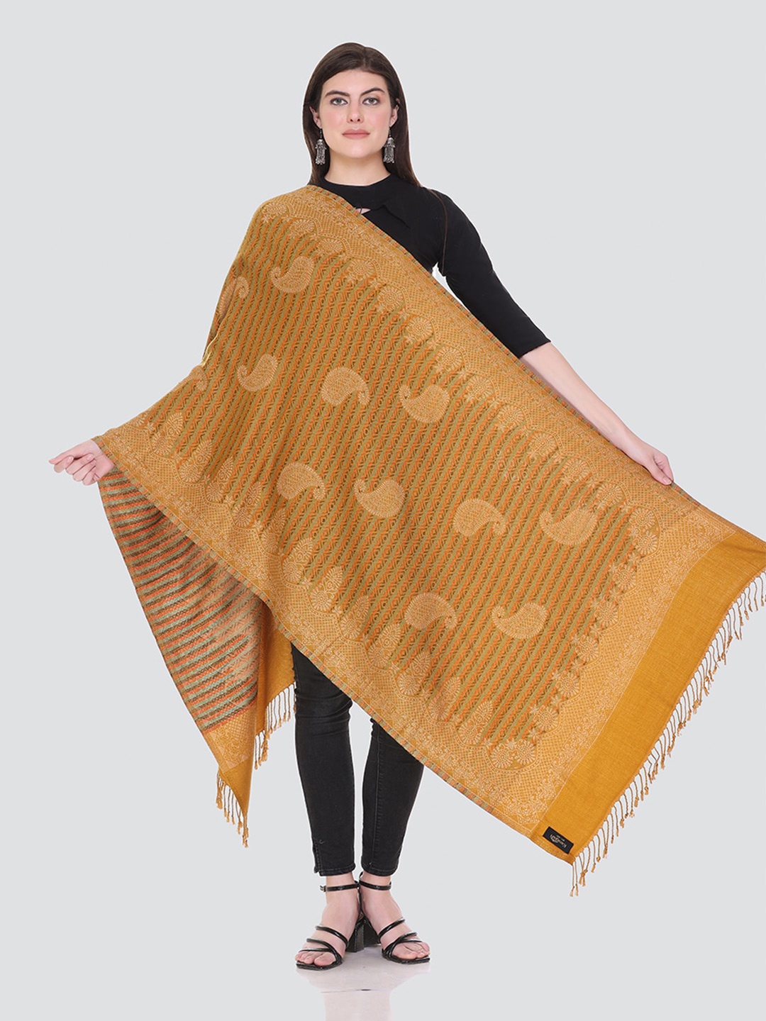 

KANIGARI Women Mustard & Red Woven Design Stole