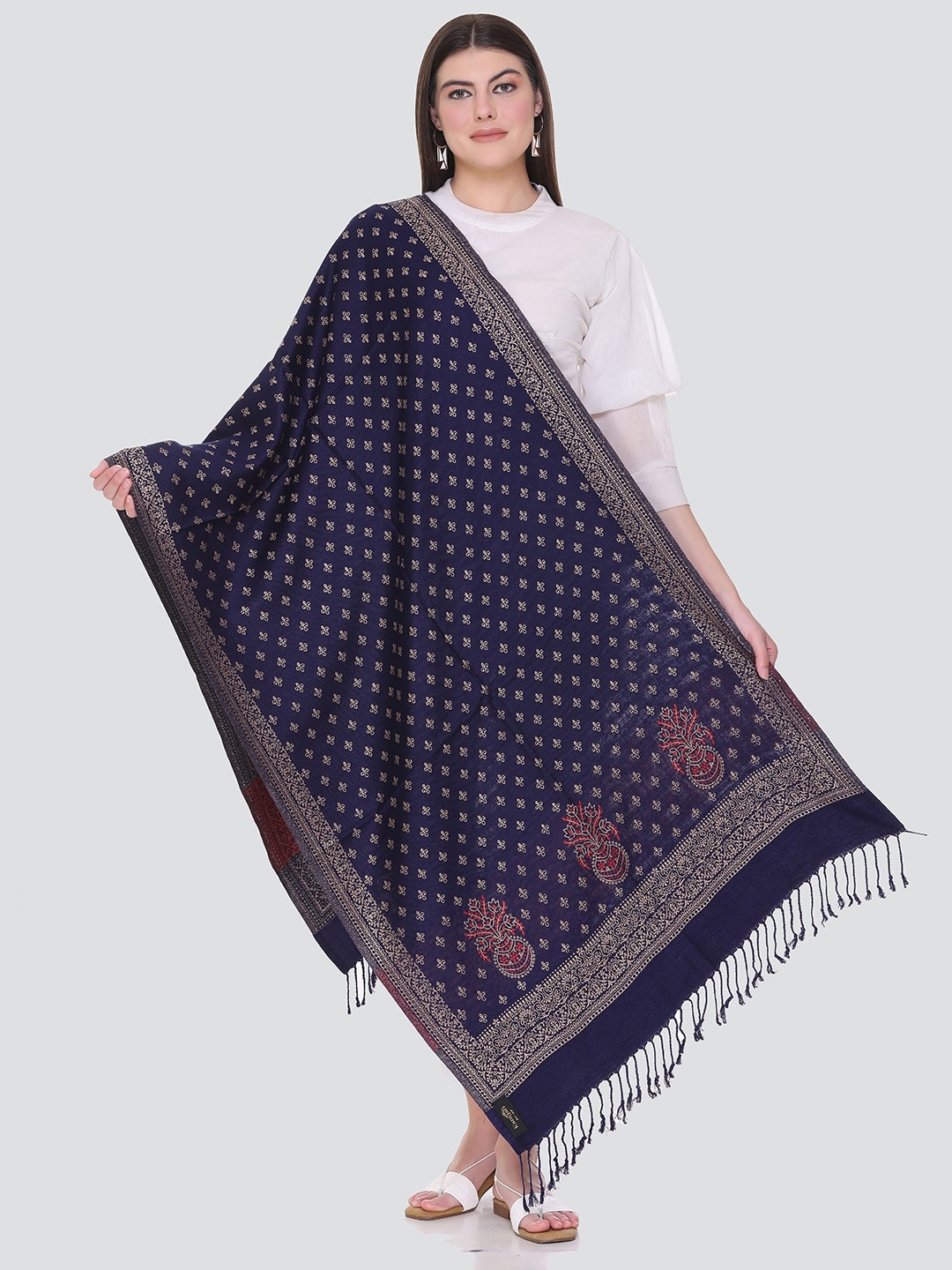 

KANIGARI Women Navy Blue & Red Woven Design Woolen Stole