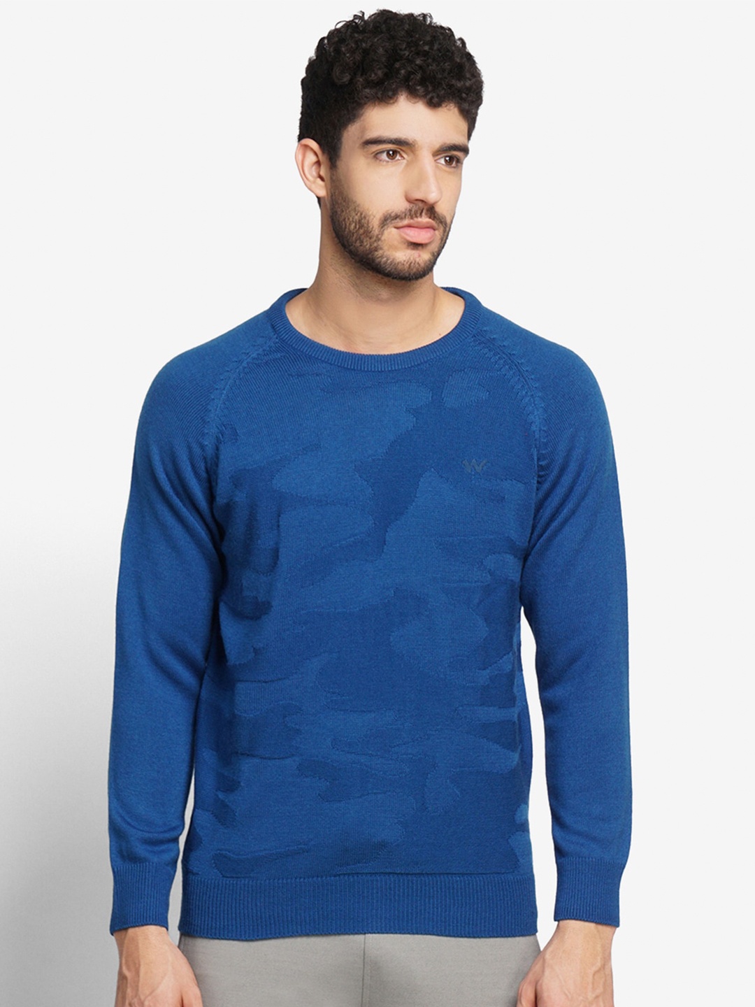 

Wildcraft Men Blue Printed Pullover Sweaters