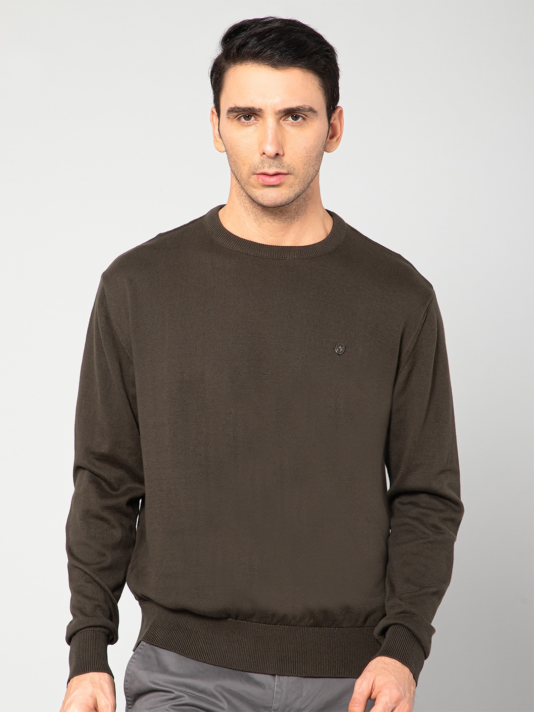 

Cantabil Men Olive Green Cotton Pullover Sweater