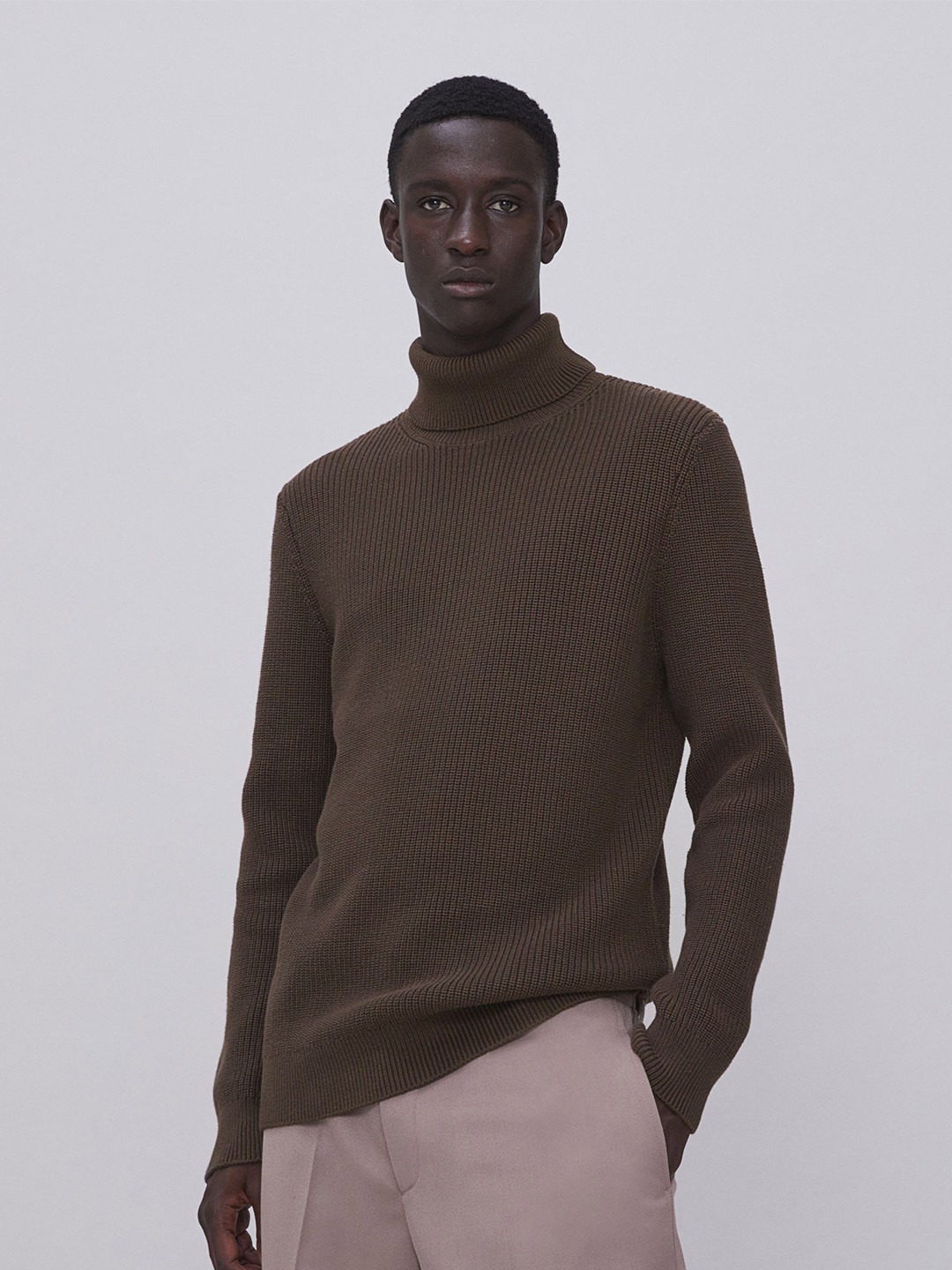 

H&M Men Brown Regular Fit Polo-Neck Jumper