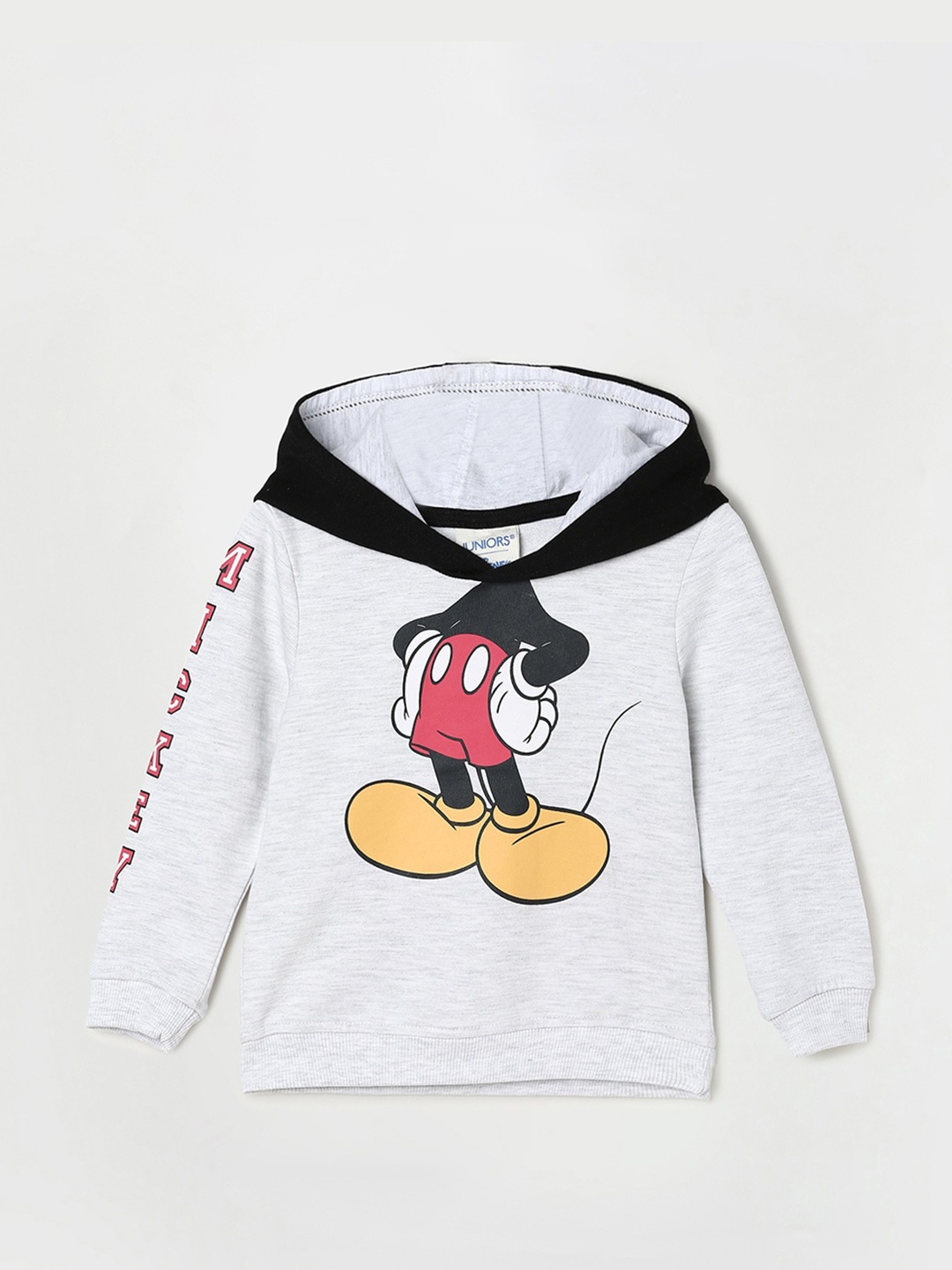 

Juniors by Lifestyle Boys Grey Melange Printed Cotton Hooded Sweatshirt