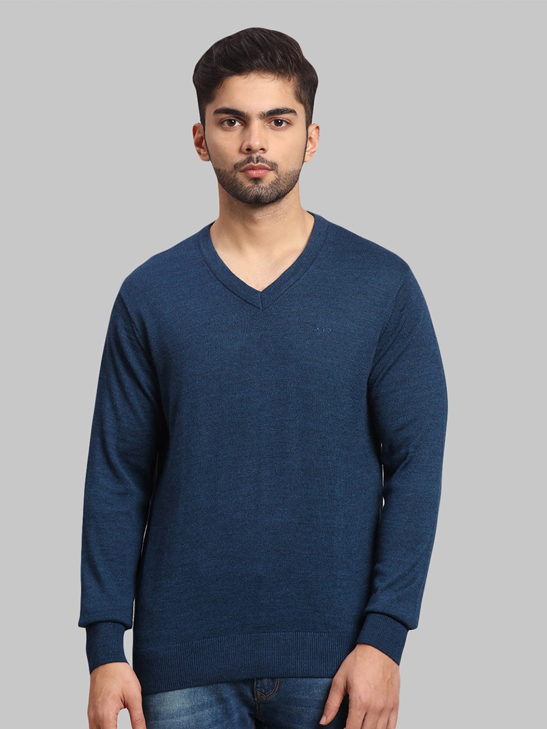 

ColorPlus Men Navy Blue V-Neck Long Sleeves Wool Pullover