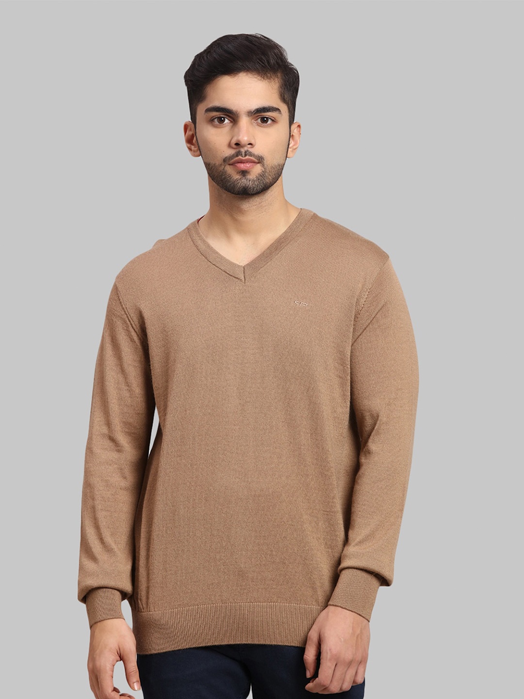 

ColorPlus Men Beige Wool Pullover