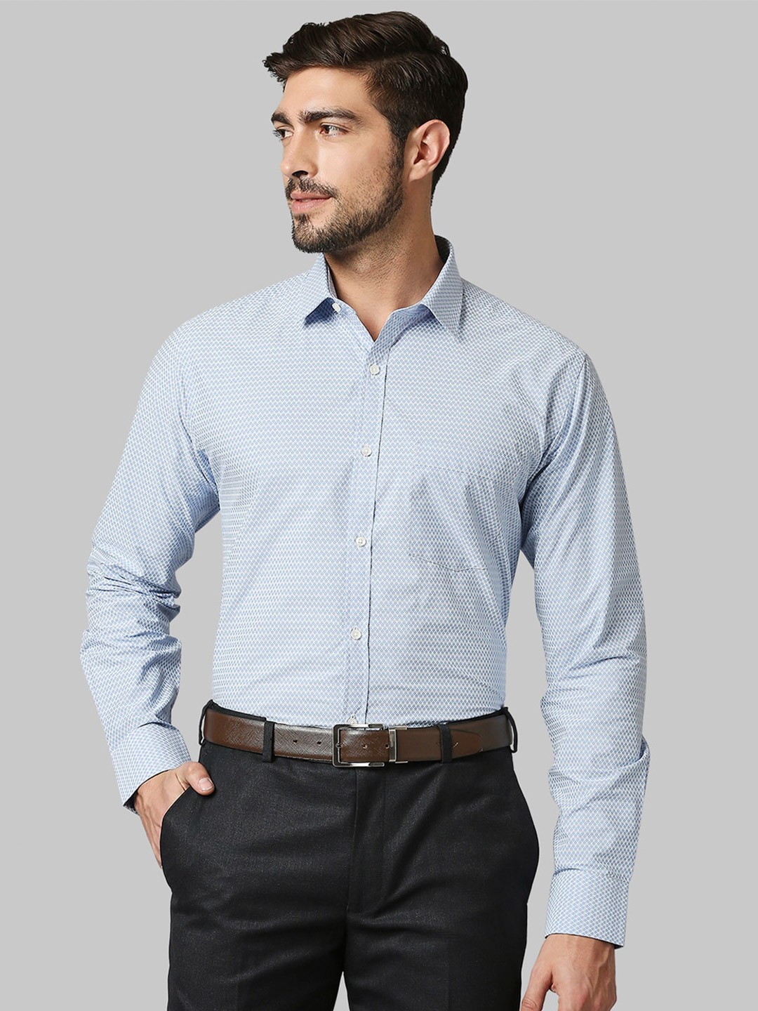 

Park Avenue Men Blue Slim Fit Micro Checked Cotton Formal Shirt