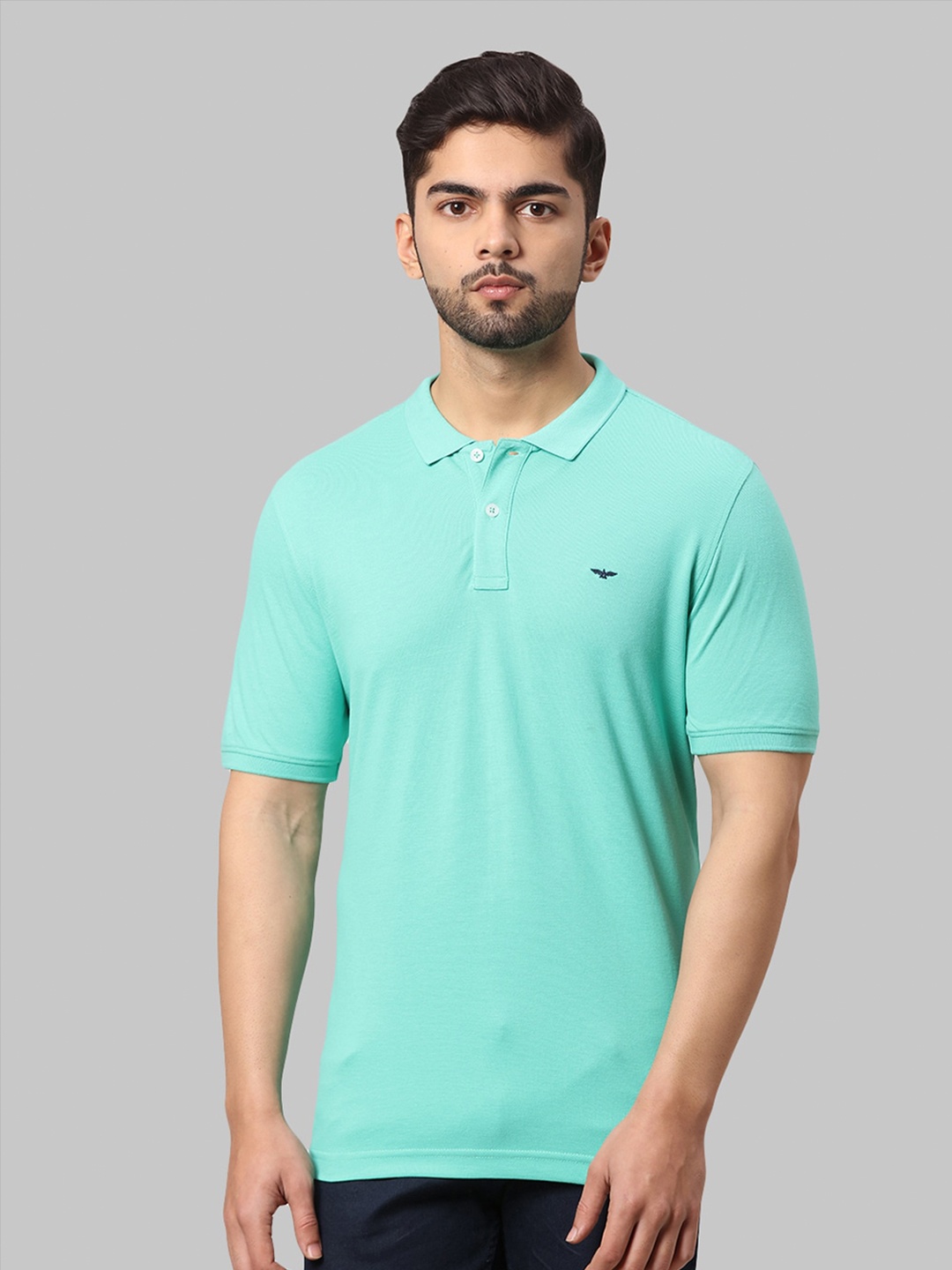 

Park Avenue Men Sea Green Polo Collar Slim Fit T-shirt