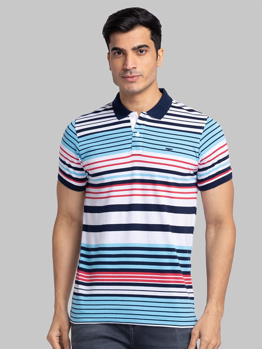 

Park Avenue Men Blue & White Striped Polo Collar Slim Fit T-shirt