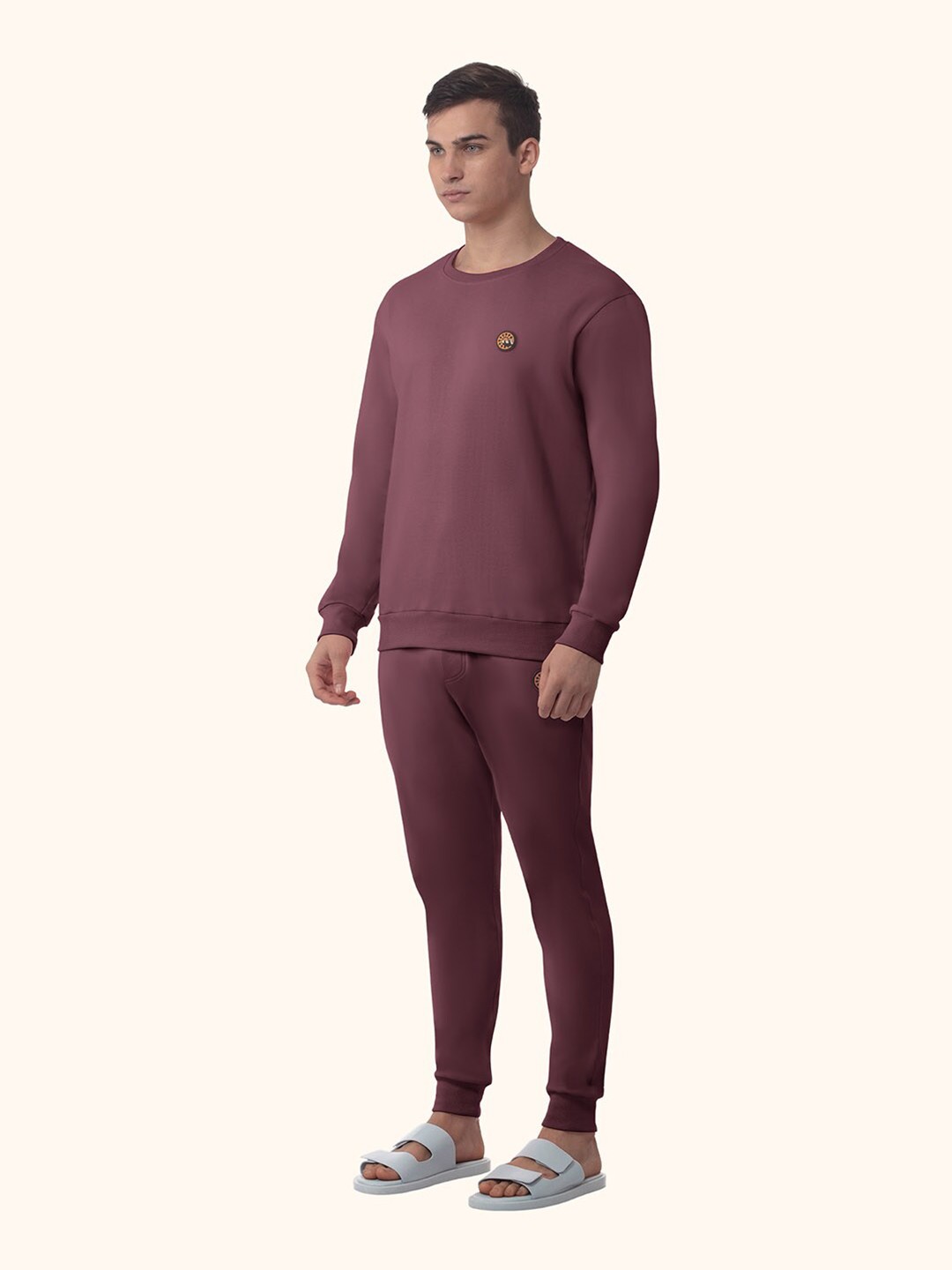 

PANGOLIN Men Purple Sweatshirt