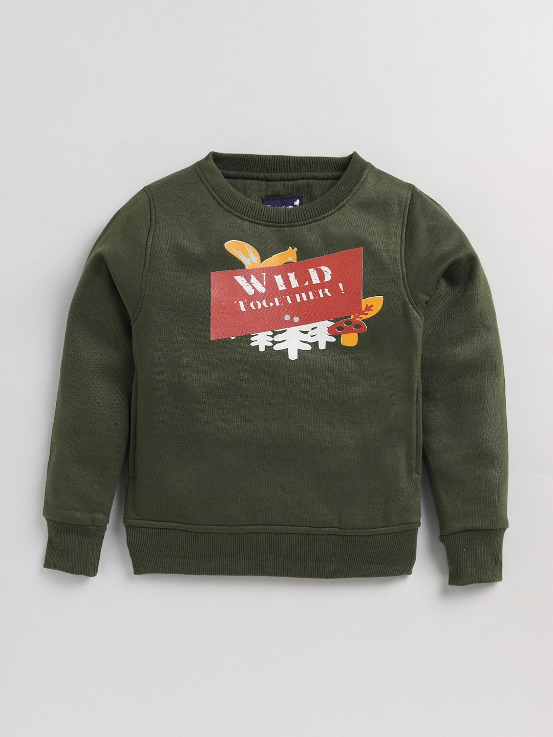 

Toonyport Boys Green Printed Sweatshirt
